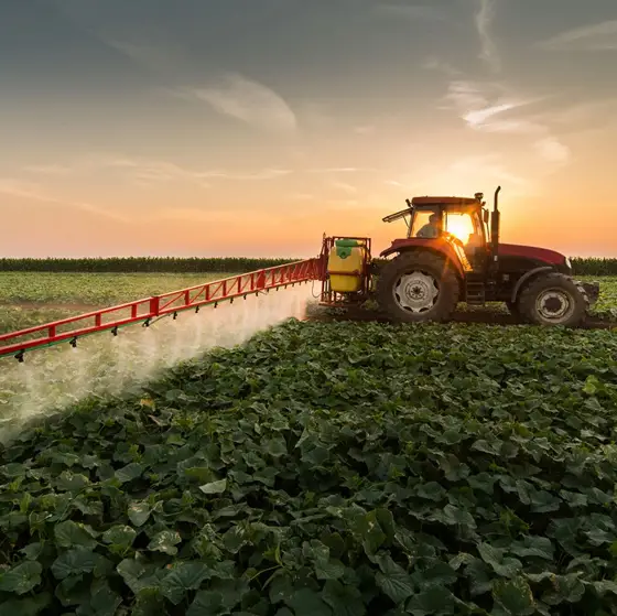 Bitkisel Ürün Sigortası